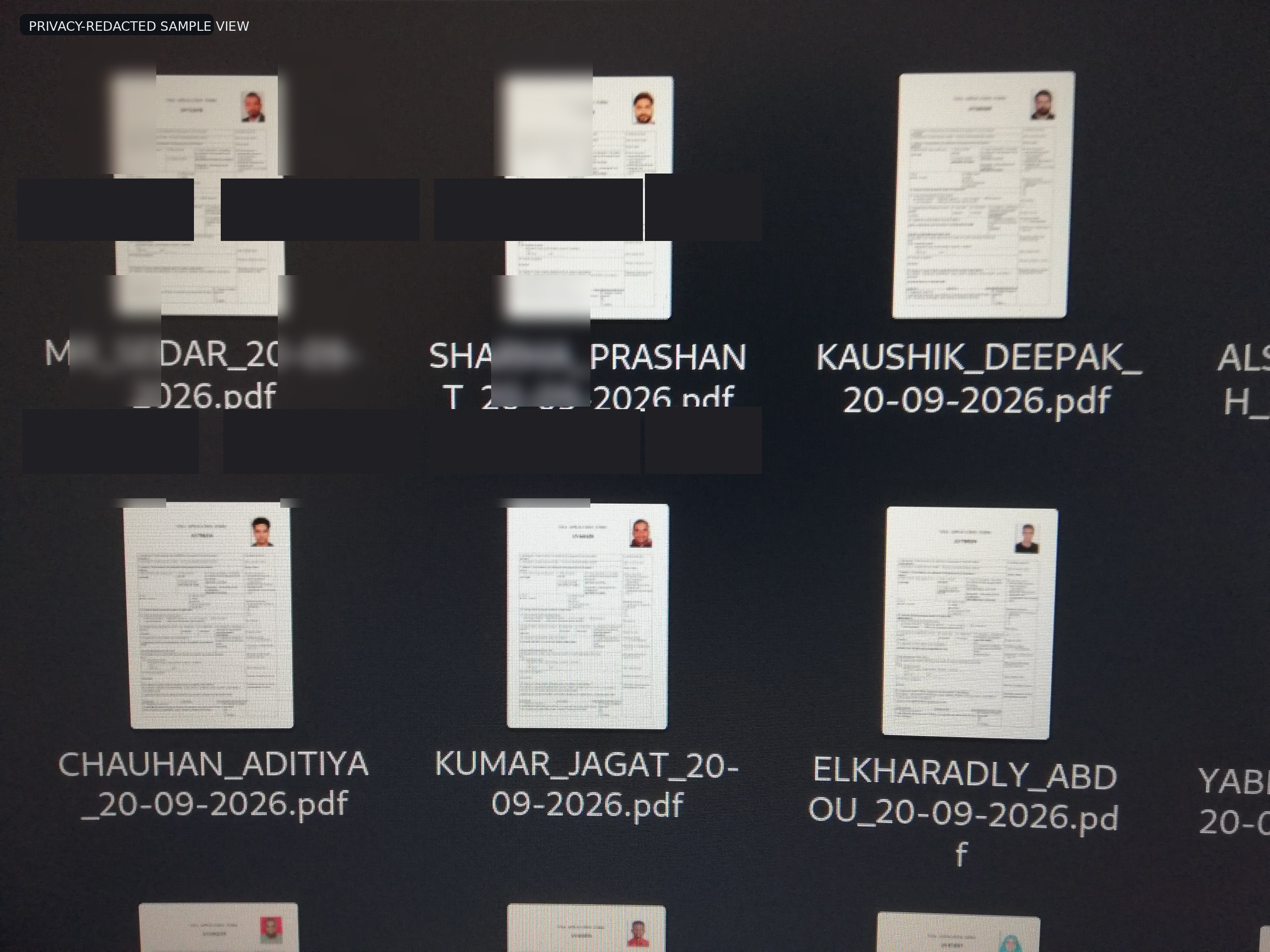 Figure 2 — Privacy-redacted screenshot showing multiple PDF files presented as alleged samples.